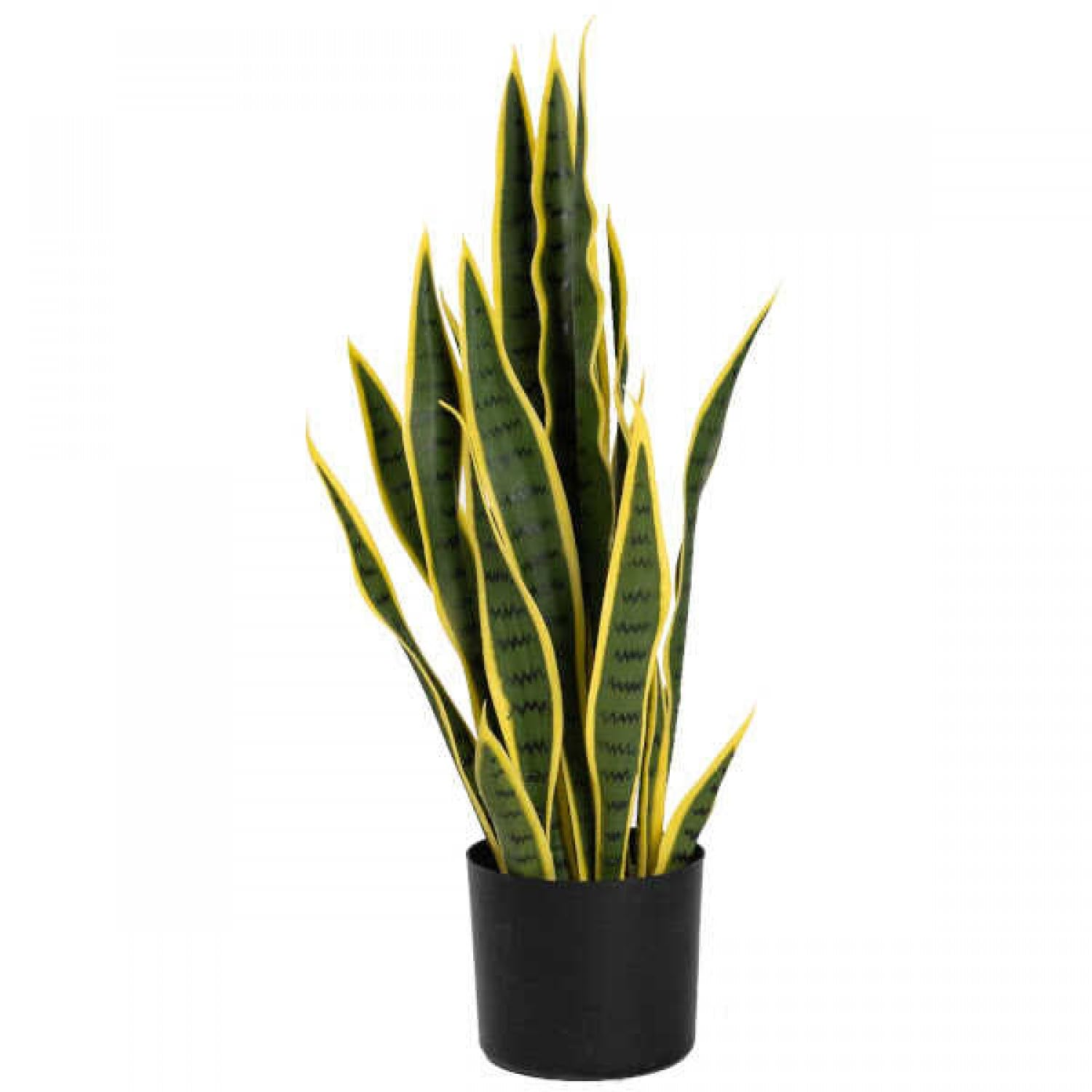 Greenery Nursery Indoor Outdoor live Snake Plant Variegated Air Purifier Sansevieria Plant anti mosquito plant for your home and graden healthy plant (Pack Of 1) (B0D87LRCFV) Amazon Price History, Amazon Price Tracker