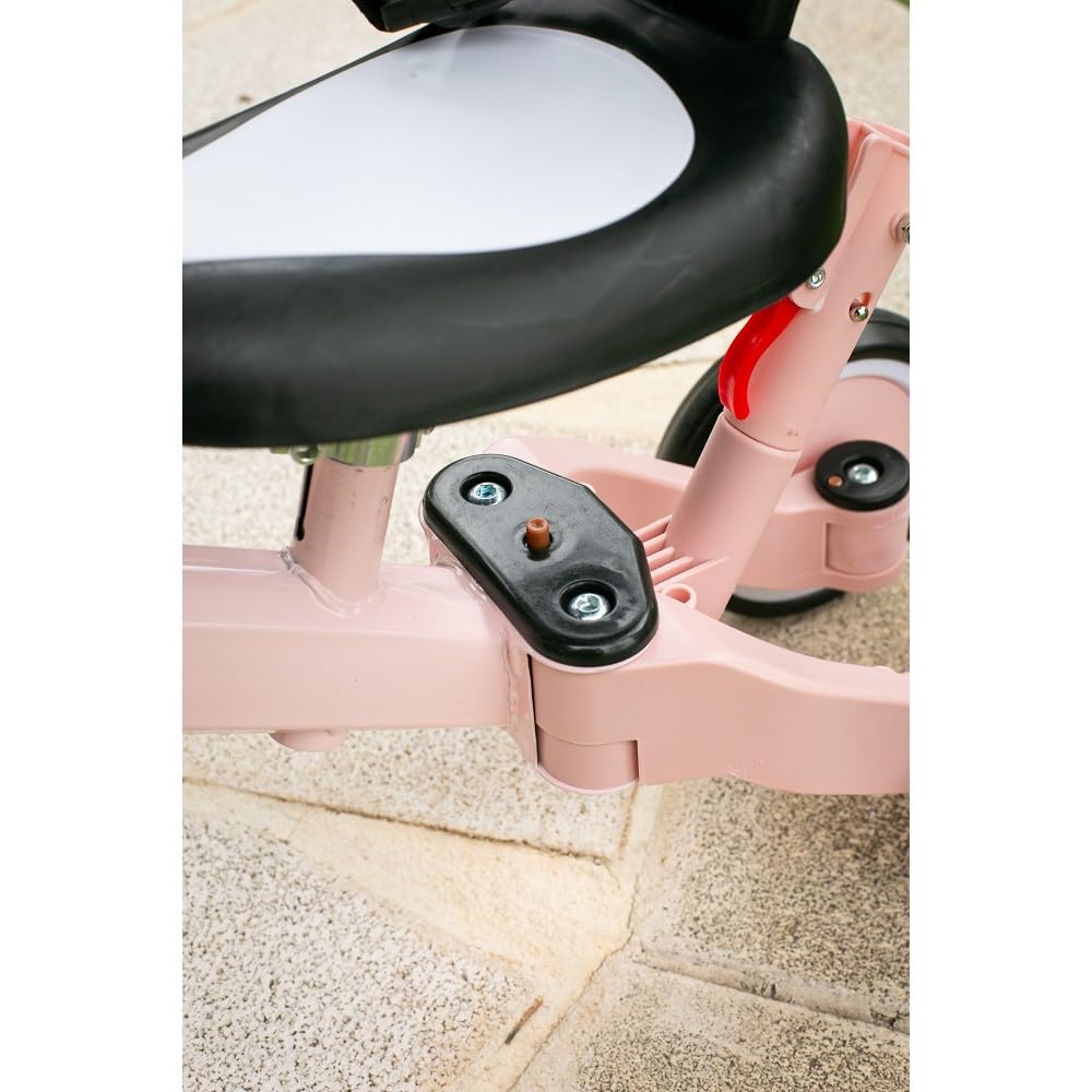 Interbaby - Triciclo "Norby" e Bici Evolutiva 5 in 1 con Capottina - 1-5 Anni