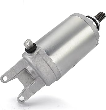 Motorcycle Electrical Engine Starter Motor Compatible with Triumph TT600 650 2000-2003 Compatible with T1310805 T1311117