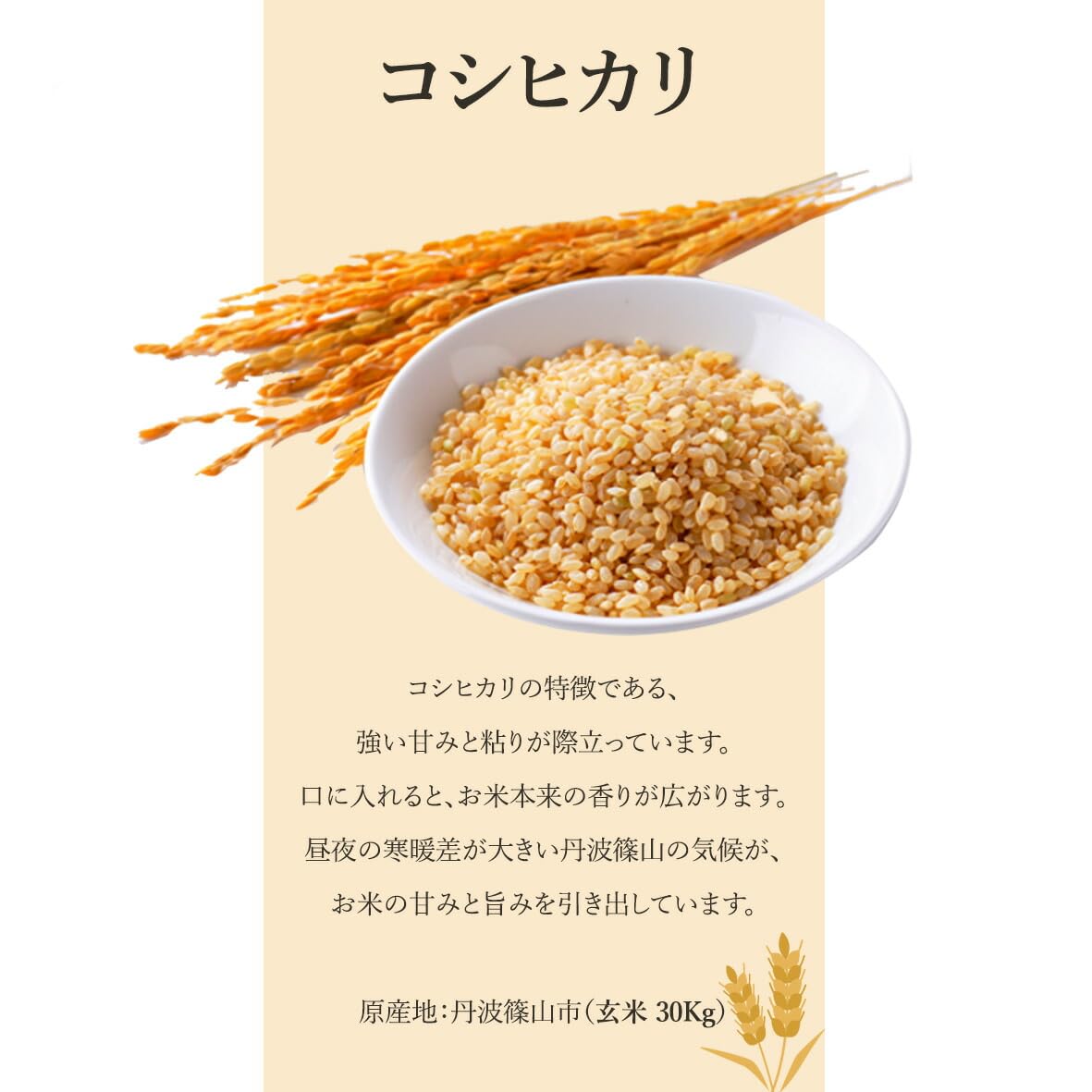 Amazon.co.jp: 令和7年度産 新米 コシヒカリ 兵庫県産 おこめ 精米前