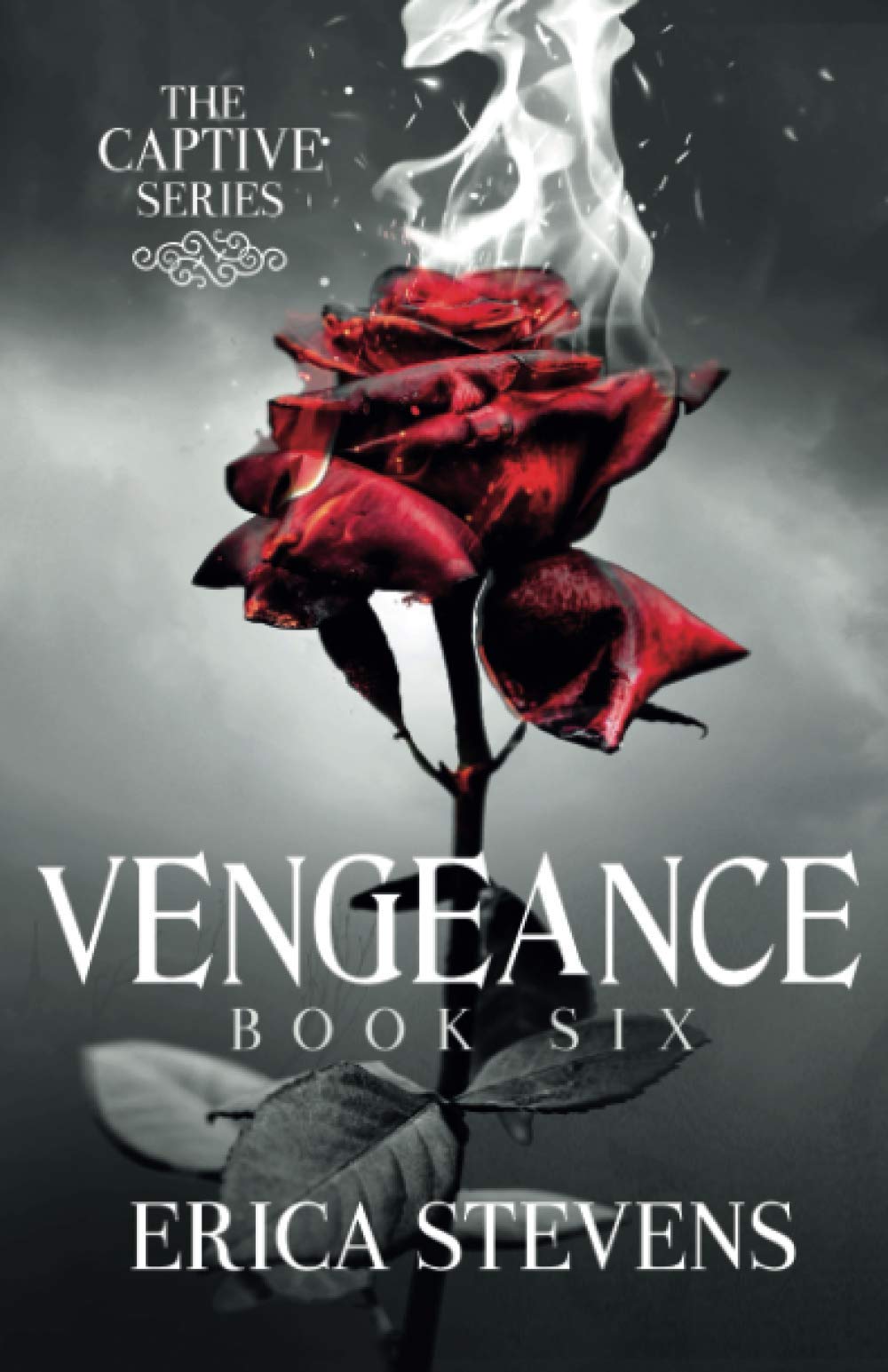 Vengeance (The Captive Series, Book 6)
