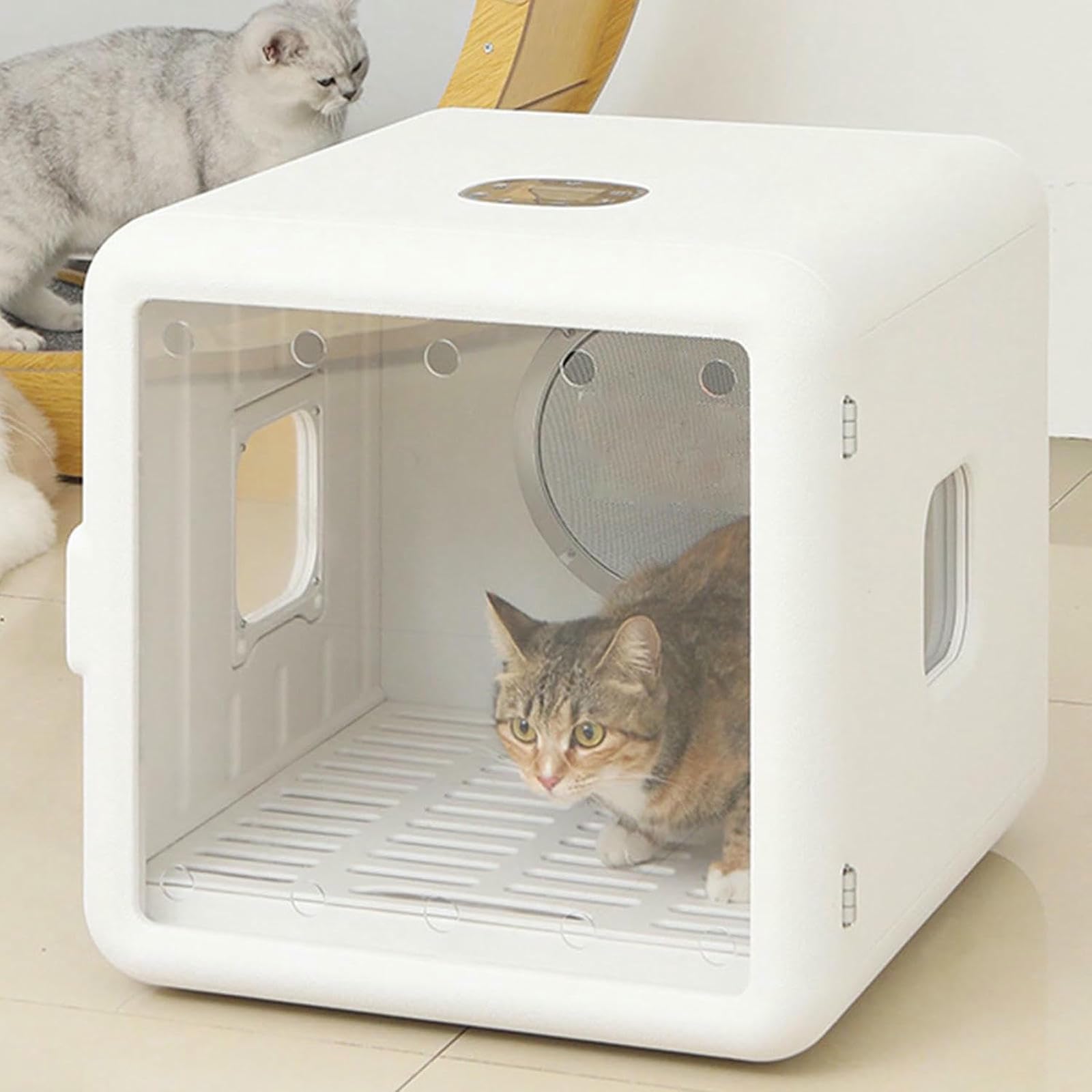 Séchoir pour animaux de compagnie automatique pour sécher les chats sans bruit ni peur