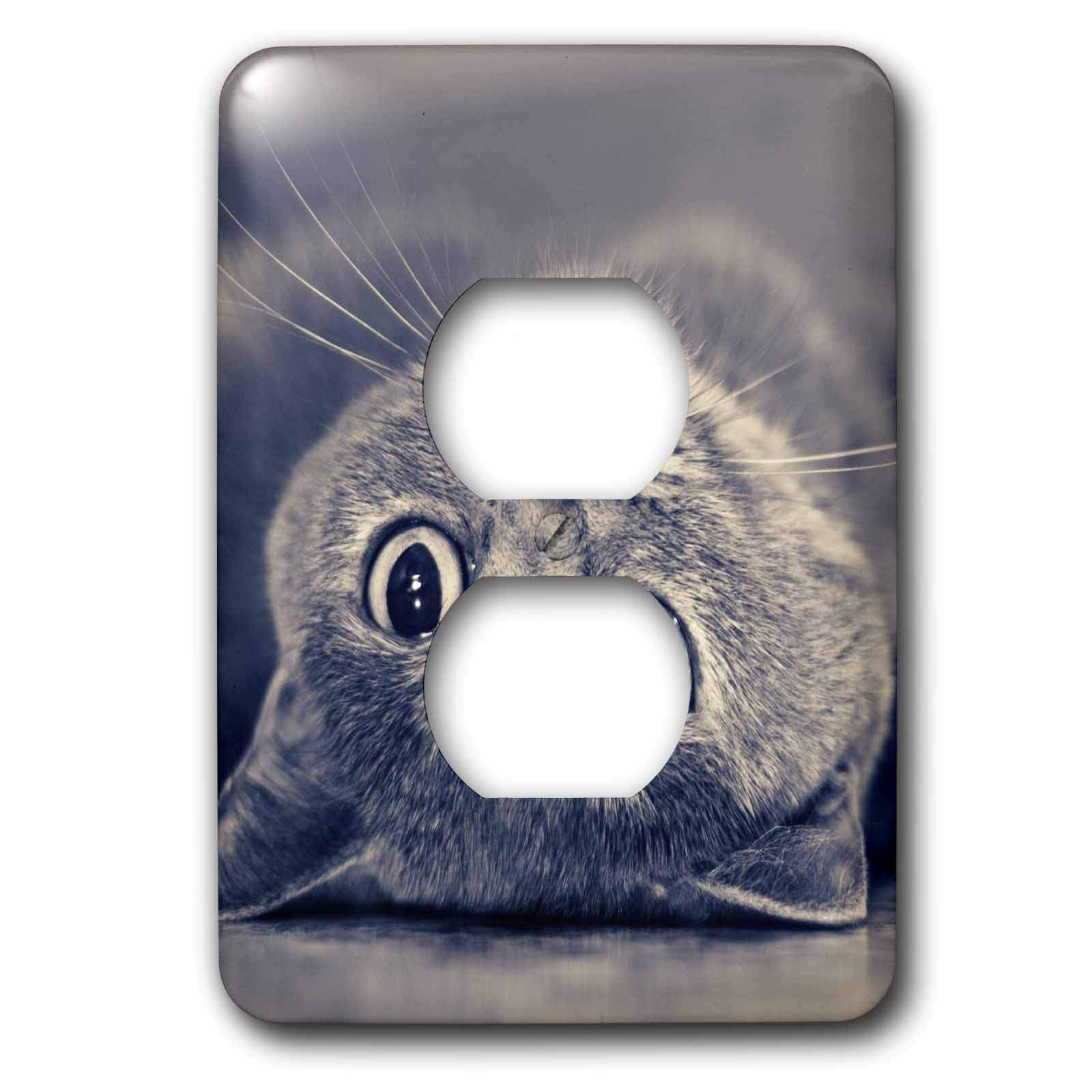 Plaque de finition double prise décorative motif chat 3dRose