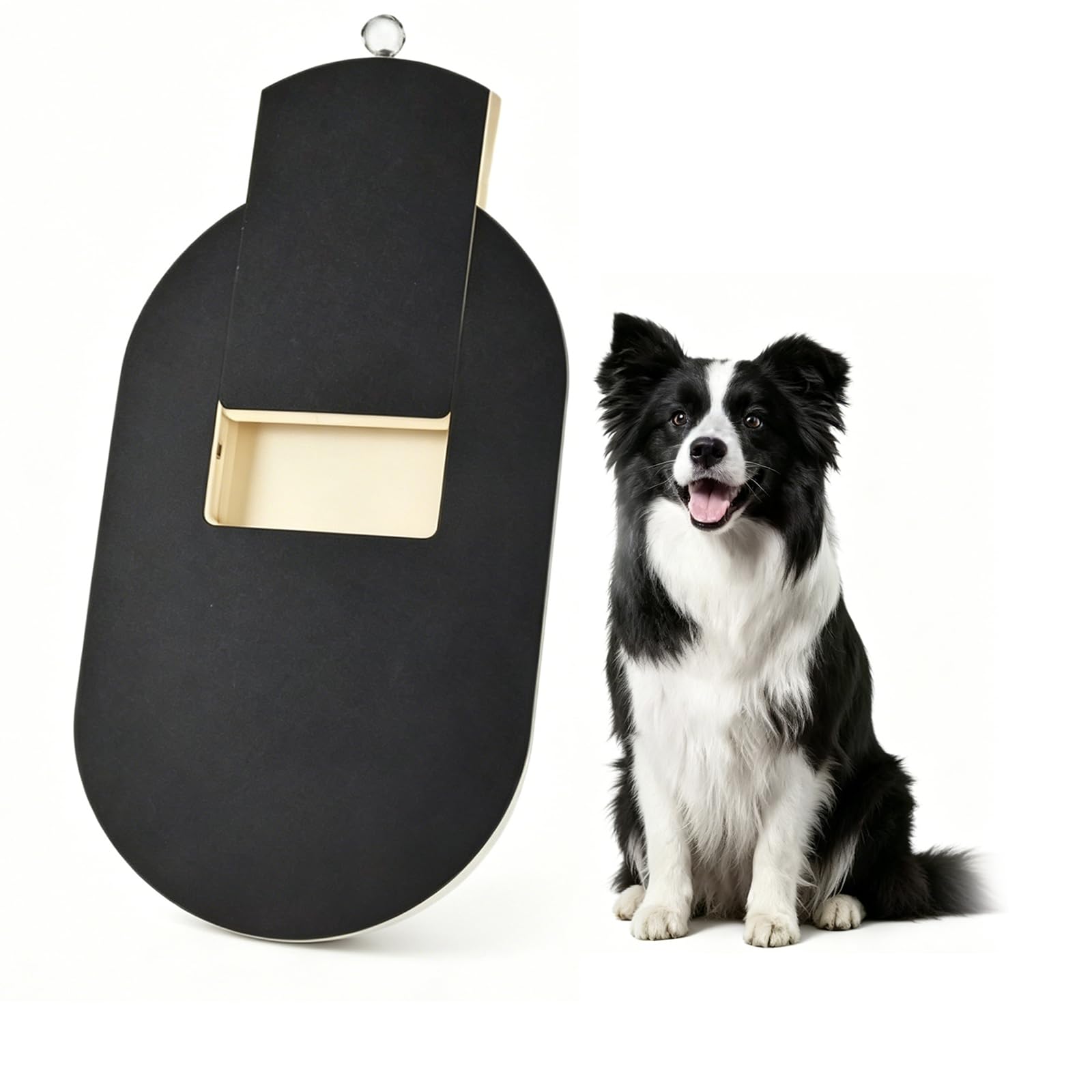 Dog Nail Scratch Board with Treat Box, Dog Scratch Pad for Nails, Scratch Board for Dogs, Durable Dog Nail File Board Toy, Alternative to Dog Nail Clippers and Grinders for Calmer Nail Care