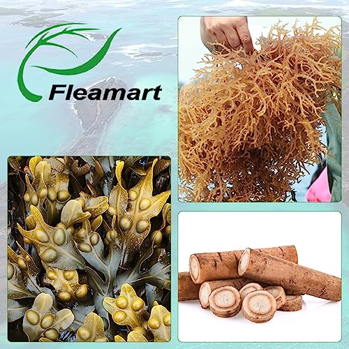 Fleamart Irish Sea Moss Capsules with Bladderwrack & Burdock (120 ct) — view 6