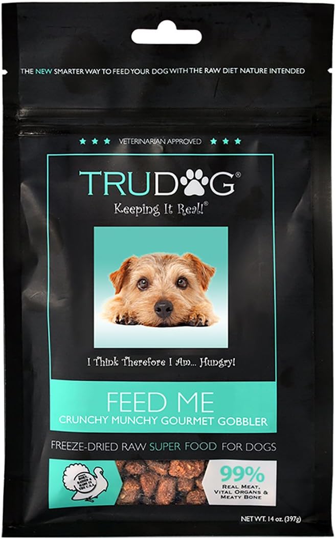 22 Best Dog Foods for Dobermans Dog Food Care