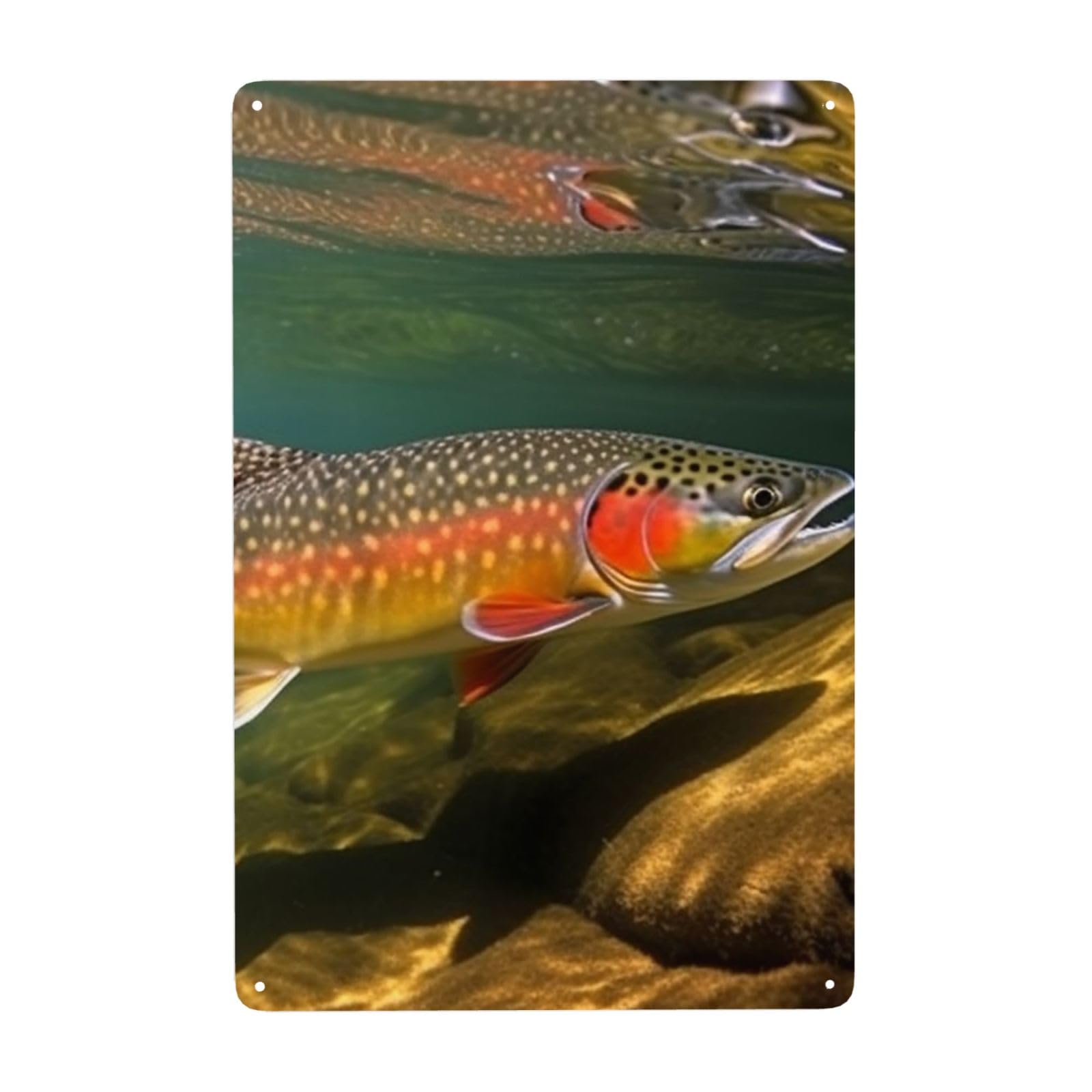 Vintage Metal Tin Signs Retro Garage Signs Stylish Wall Art Plaques for Home Decor Unique Poster 8x12 Inch Brook Trout Fly Fishing Metal Sign Outdoor Wall Decorations Gifts
