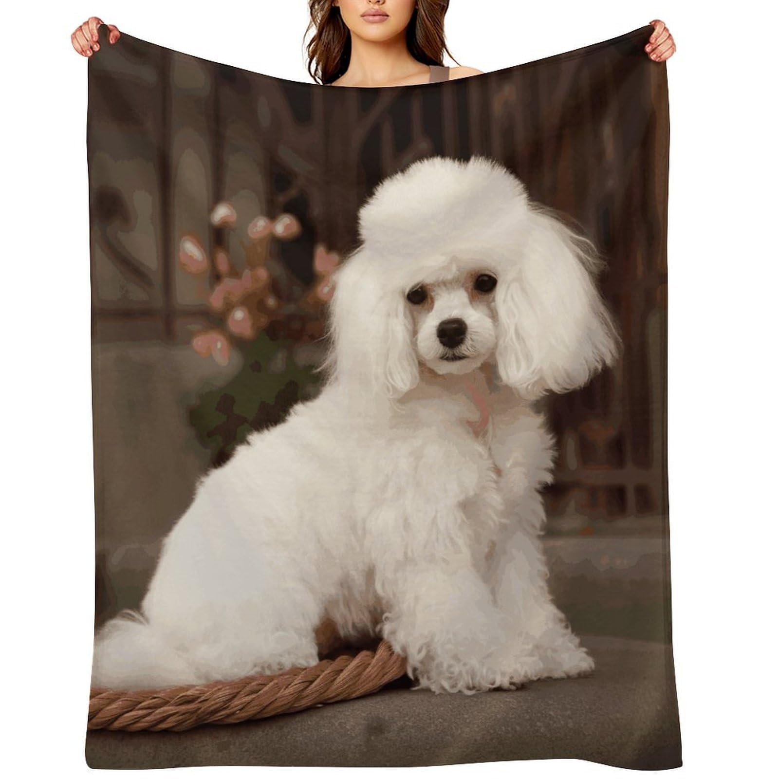 Fekiloot Style French Poodle Throw Blankets Camping Blanket30 X40