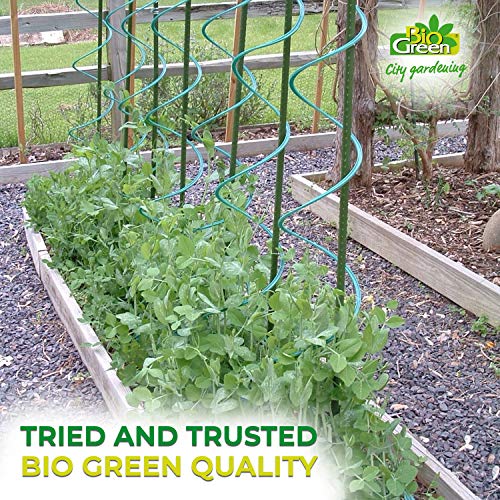 Bio Green Productos de Cultivo zarcillos, Negro: Amazon.es: Jardín