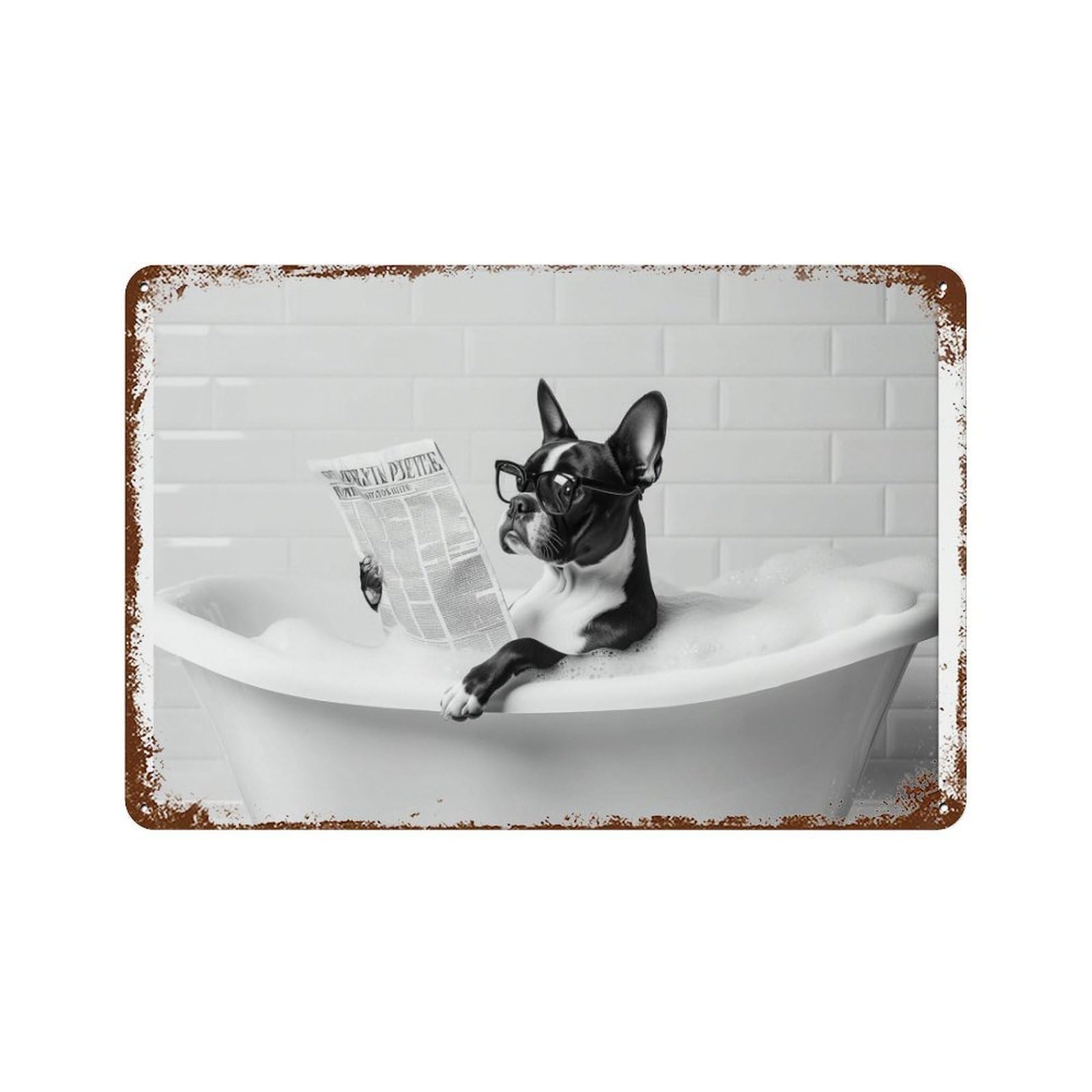 xiaoxiaoshen Boston Terrier Bathtub Funny Dog in Bubble Bath, Reading Newspaper Wall Decor Art Metal Tin Poster Modern Home Decor Art Home Bar Shop Decorations Vintage Sign 20x30cm
