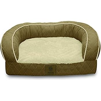 grain free and heart disease dogs