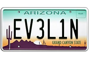 Twisted Metal EV3L1N Metal License Plate: Gratify Your Sweet Tooth