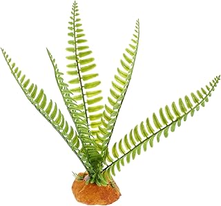 COLLBATH Acessórios De Tanque De Dragão Barbudo Planta De Aranha Plantas Artificiais Acessórios De Tanque De Peixes Decoração De Terrário Aquário Planta Falsa Planta De Paisagismo De