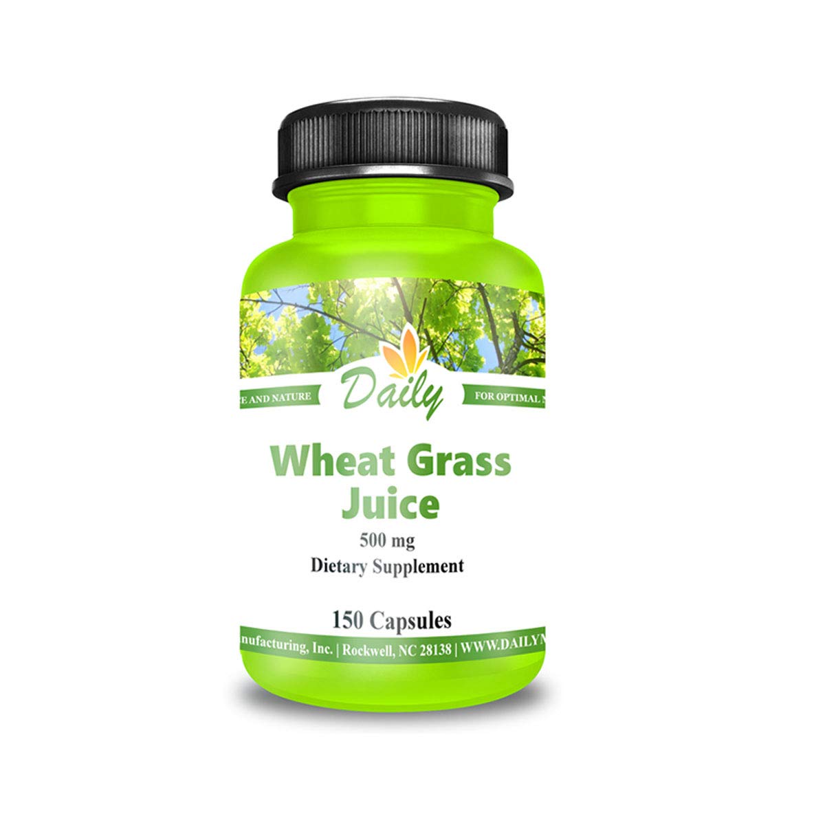 Daily Manufacturing Organic Dehydrated Wheat Grass Juice Capsules