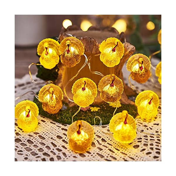 Decorative fairy turkey string lights novelty fall garland lights rope 8ft 20leds battery operated with remote for indoor decoration easter autumn christmas home bedroom party fall tree decor  urban country home decor