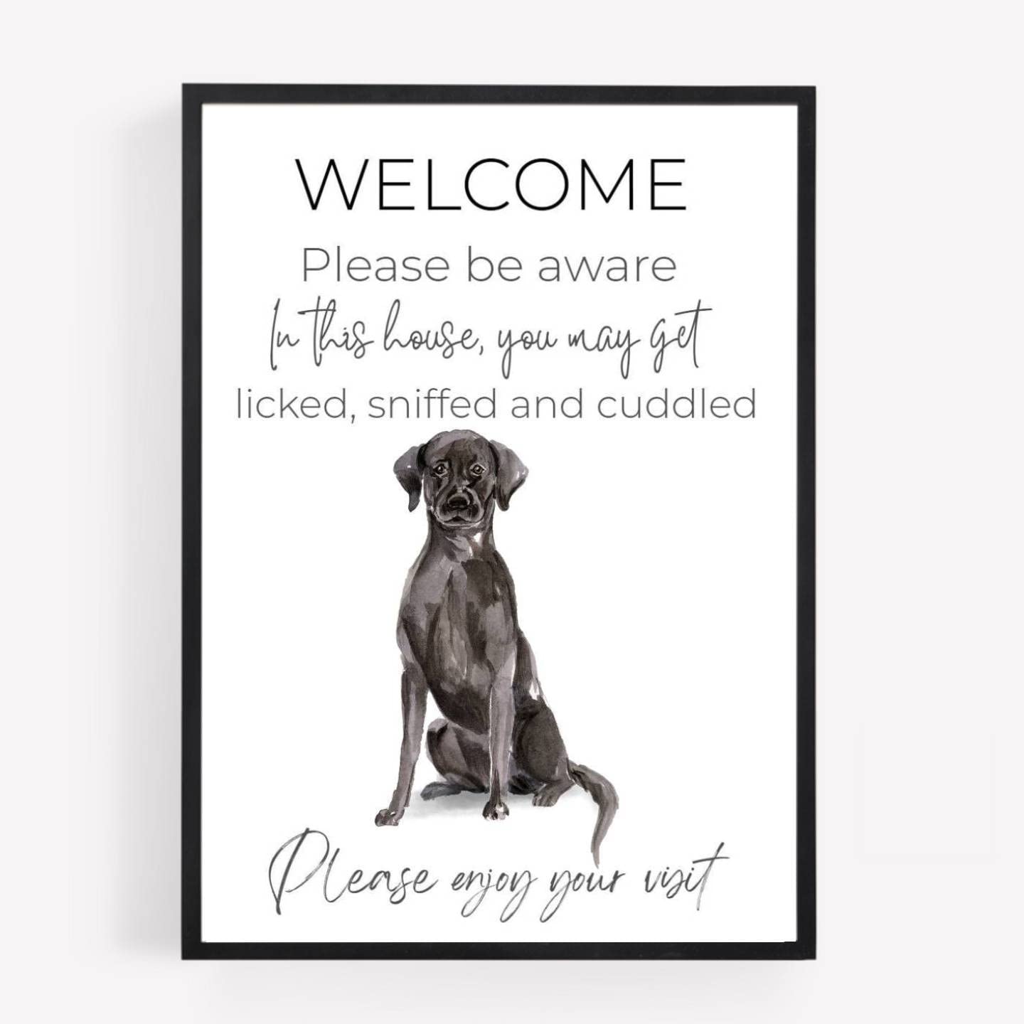 Funny Welcome Black Labrador Print Picture Poster Gift you will get licked sniffed A4 UNFRAMED 1 wall art Home decor Decorating