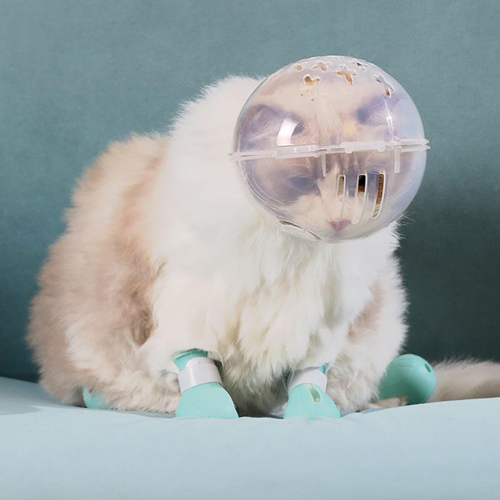 Bozal de Burbujas para Gato, Bola de Cabeza de Gato para Aseo con Botas, Accesorios antiarañazos para Mascotas, para baño, Lavado, Recorte, visitas veterinarias, Viajes