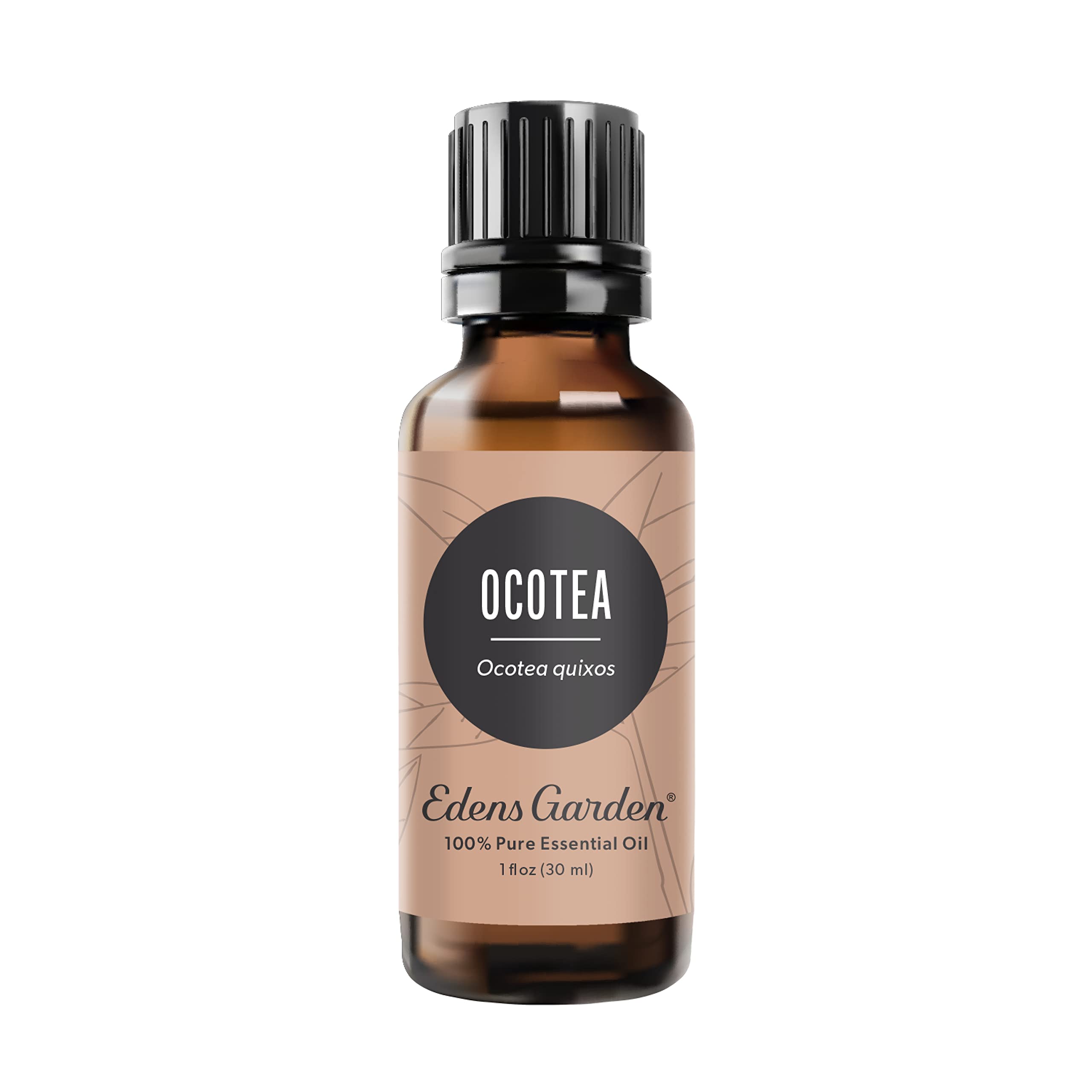 Edens Garden Ocotea Essential Oil- 100% Pure Premium Grade, Undiluted, Natural, Therapeutic, Aromatherapy, The Best for Diffuser, Candle, Laundry,
