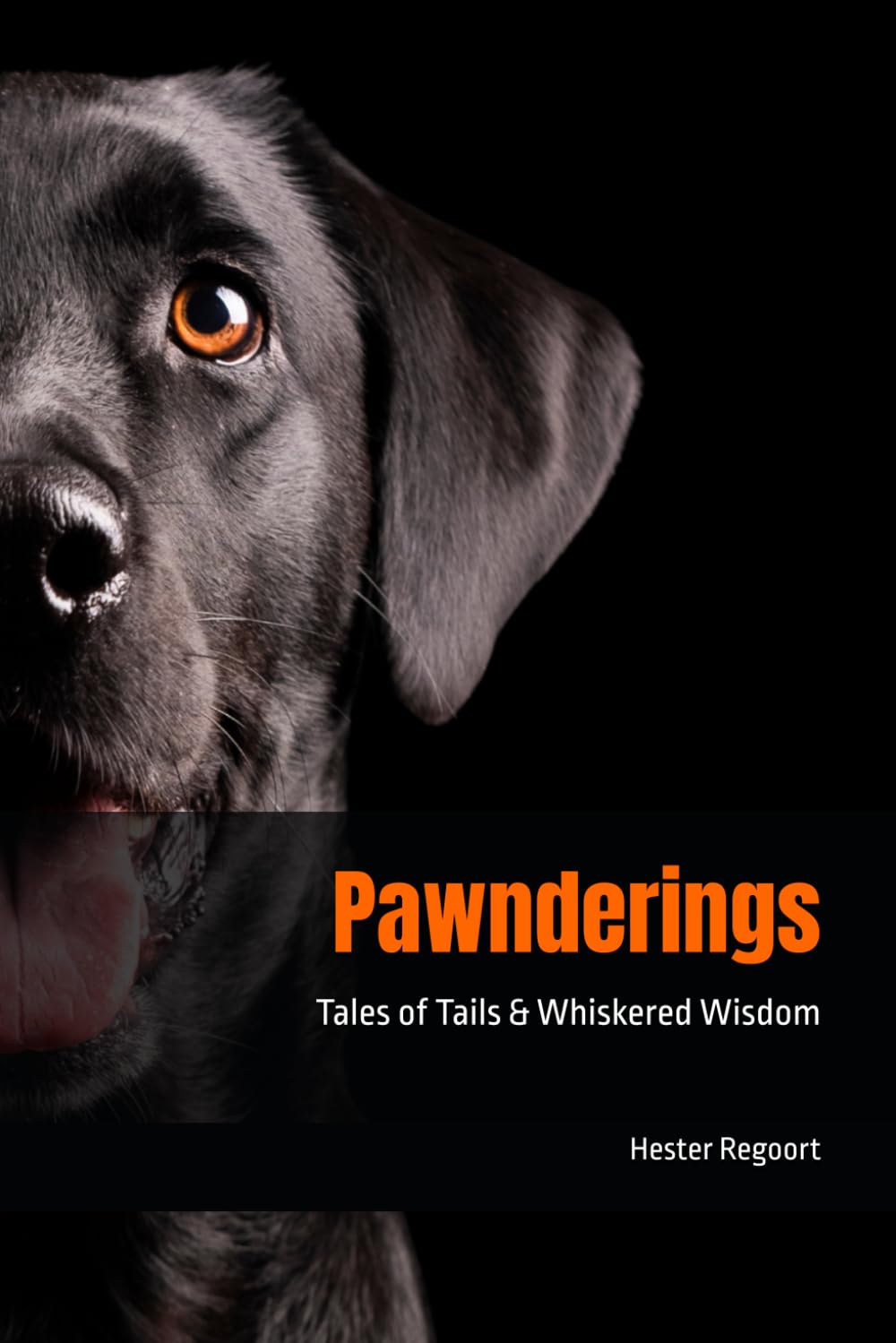 Pawnderings: Tales of Tails & Whiskered Wisdom