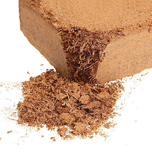 Image of LIVE GREEN Soil & Fertilizers | Agro and Coco Peat for Plants for Home Garden (1kg)