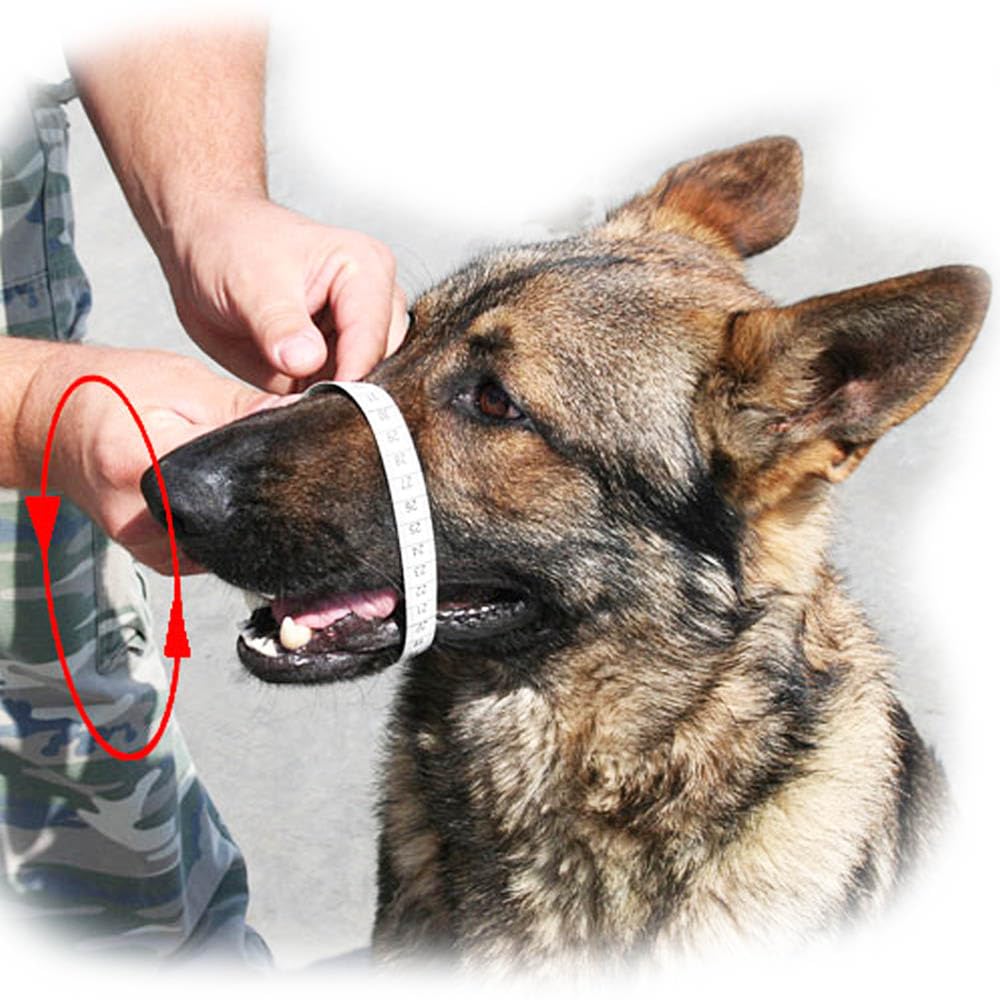 Bozal de Metal para Perro (tamaño 39) para Malinois, Pastor alemán, Husky, Cesta de Alambre Transpirable, Acero Recubierto de plástico Duradero