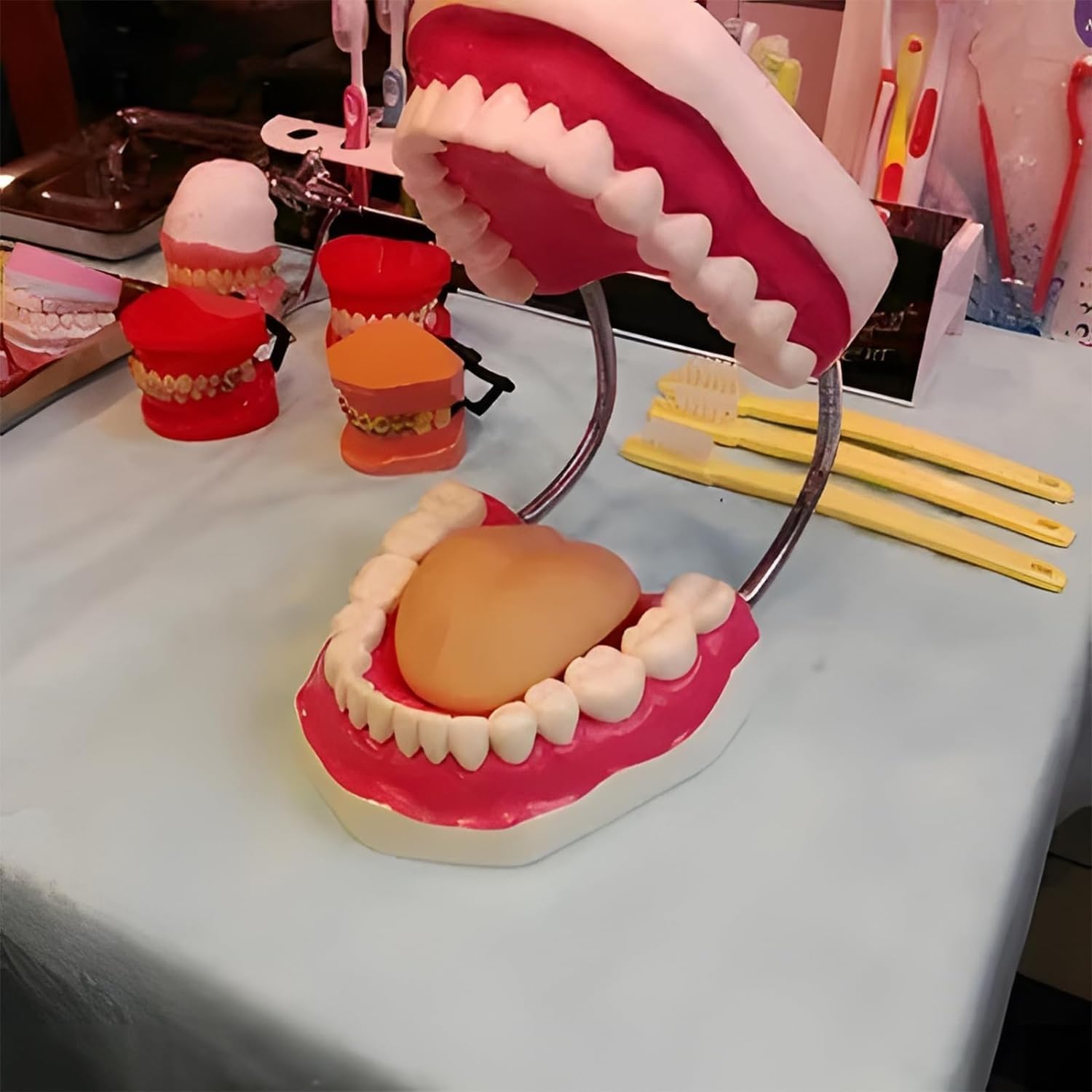 Modello for la cura dei denti dentali, Modello for la cura dei denti for l'igiene orale con spazzolino gigante, Modello dimostrativo dentale for bambini, Strumento didattico for la logopedia for spieg