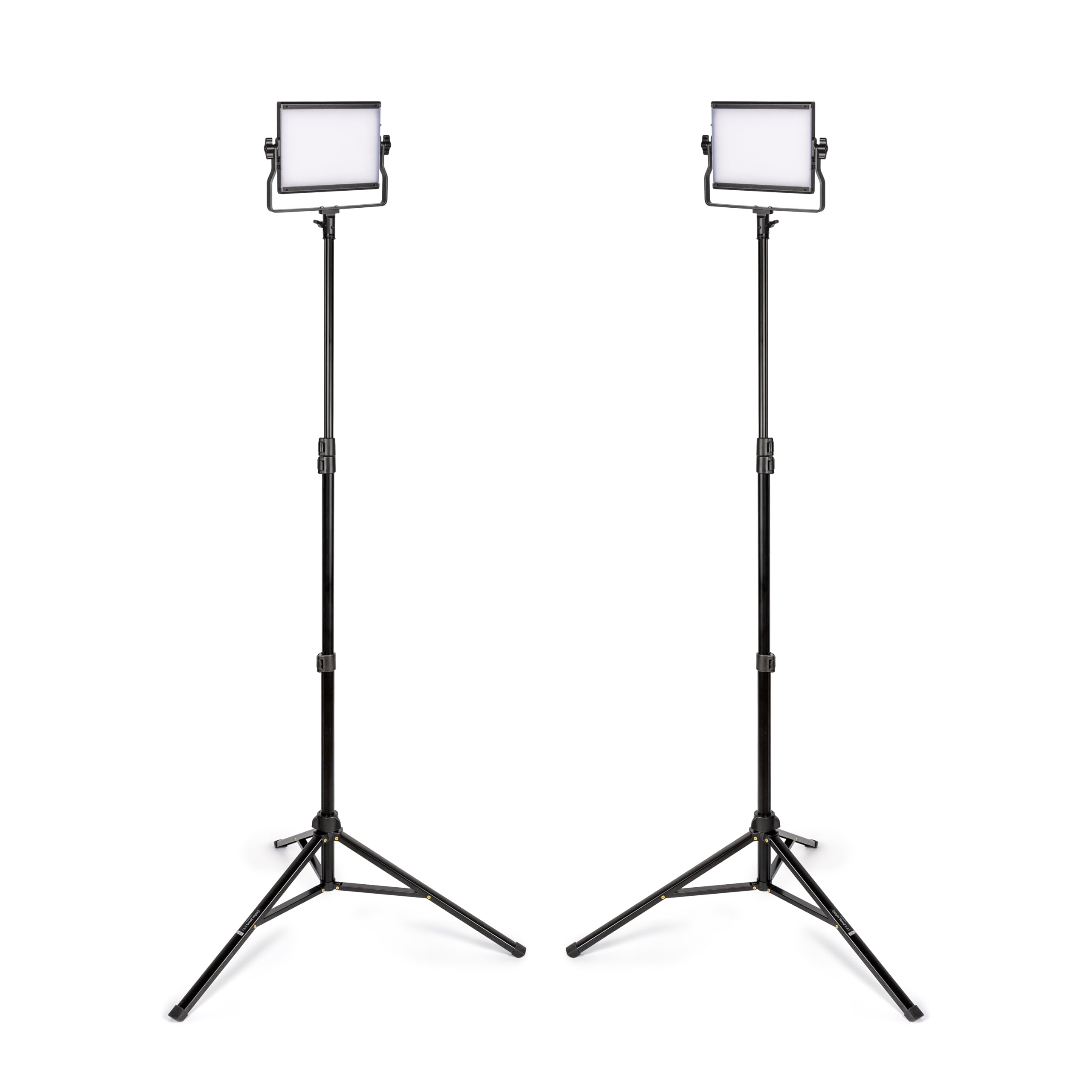 Amazon.com : ProMaster Basis B79B 2-Light Transport Kit - Bi-Color
