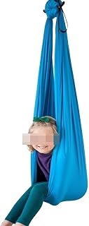 Sensory Swing Indoor + Hanger Hardware, Indoor Swings for Kids to Play & Calm, Hanging Hammock Therapy Swing for Autism Child with Special Needs (Color : Sky Blue, Size : 150x280CM/59x110in)