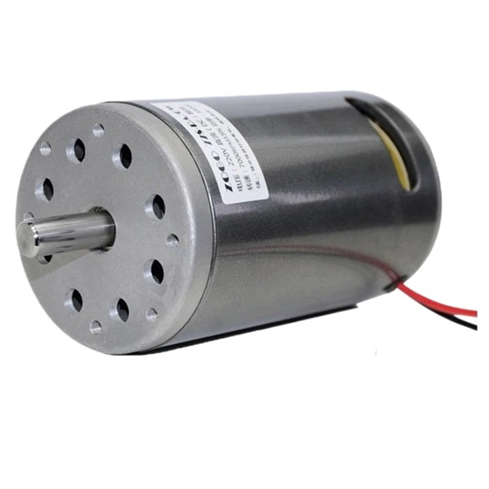 Moteur électrique 220V 300W 4200rpm pour démarreur électronique haute vitesse à roulement fiable