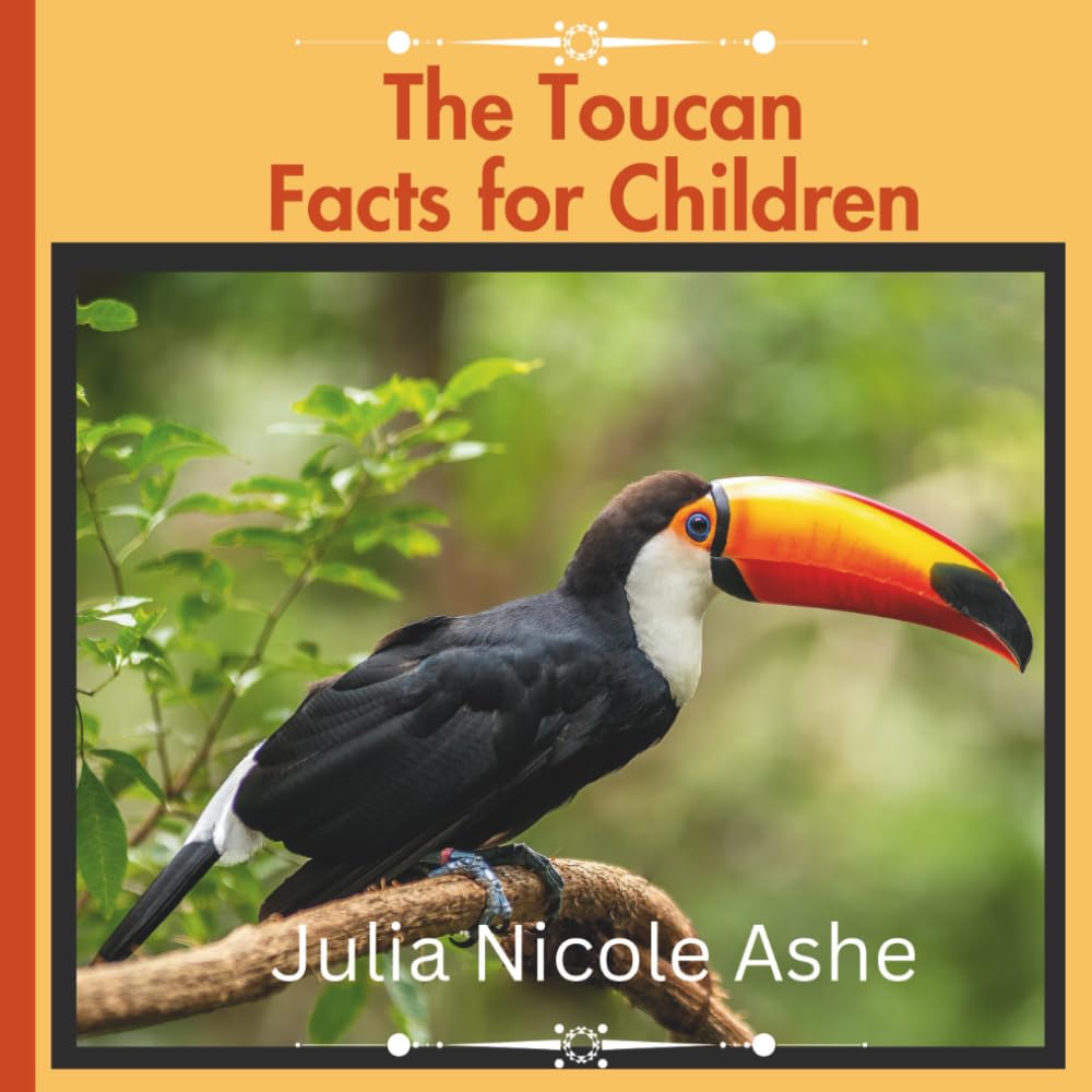 The Toucan: Facts for Children (Informational Series)