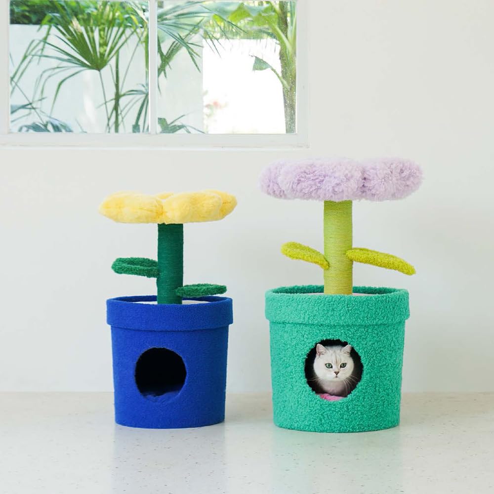 Amazon | 猫 植物 ペット ベット POT PET HOUSE (PURPLE) ZEZE ゼゼ