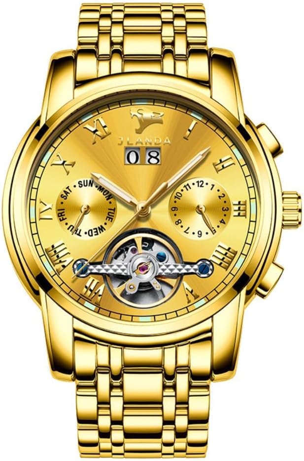 Luxury Men's Automatic Mechanical Watch Self-Winding Automatic Mechanical Movement Stainless Steel Gold Wrist Watch for Men