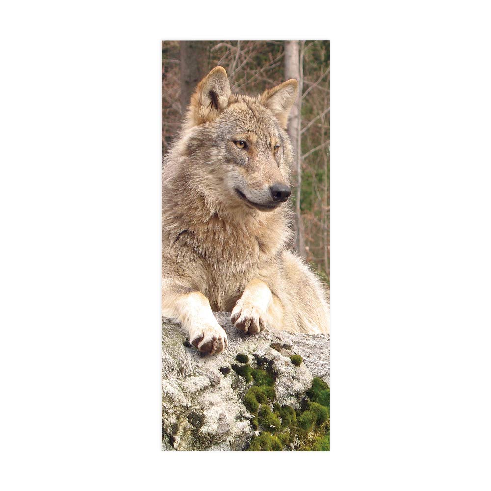 Papier Peint Porte Trompe l'oeil Loup 95x215 cm - Sticker Mural en PVC Imperméable pour Salon