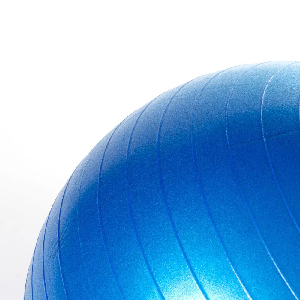 Race&Herd Herding Ball Innenersatz für Hunde, Größe M, 63,5 cm, Blau