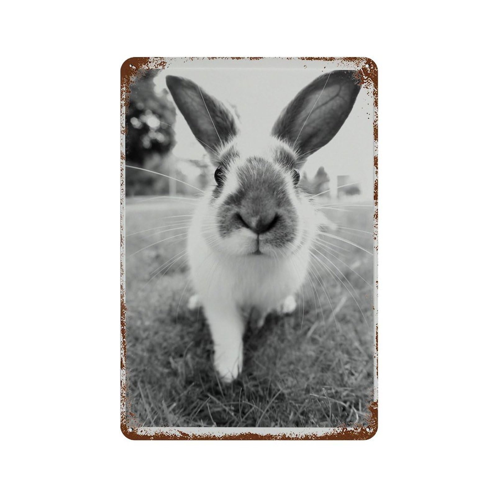 xiaoxiaoshen Vintage Bunny ， Black And White Rabbit Poster Wall Decor Art Metal Tin Poster Modern Home Decor Art Home Bar Shop Decorations Vintage Sign 30x20cm