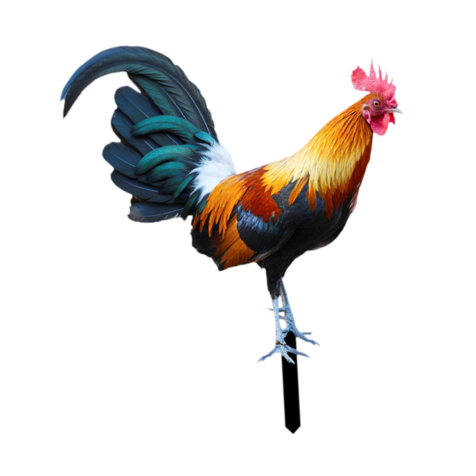 Rooster Garden Stake Yard Sign Realistic Yard Art for Lawn Pathway Courtyard 21.5cmx25cm |Home & Garden | Yard, Garden & Outdoor Living | Garden D?©cor | Statues & Lawn Ornaments-image-4