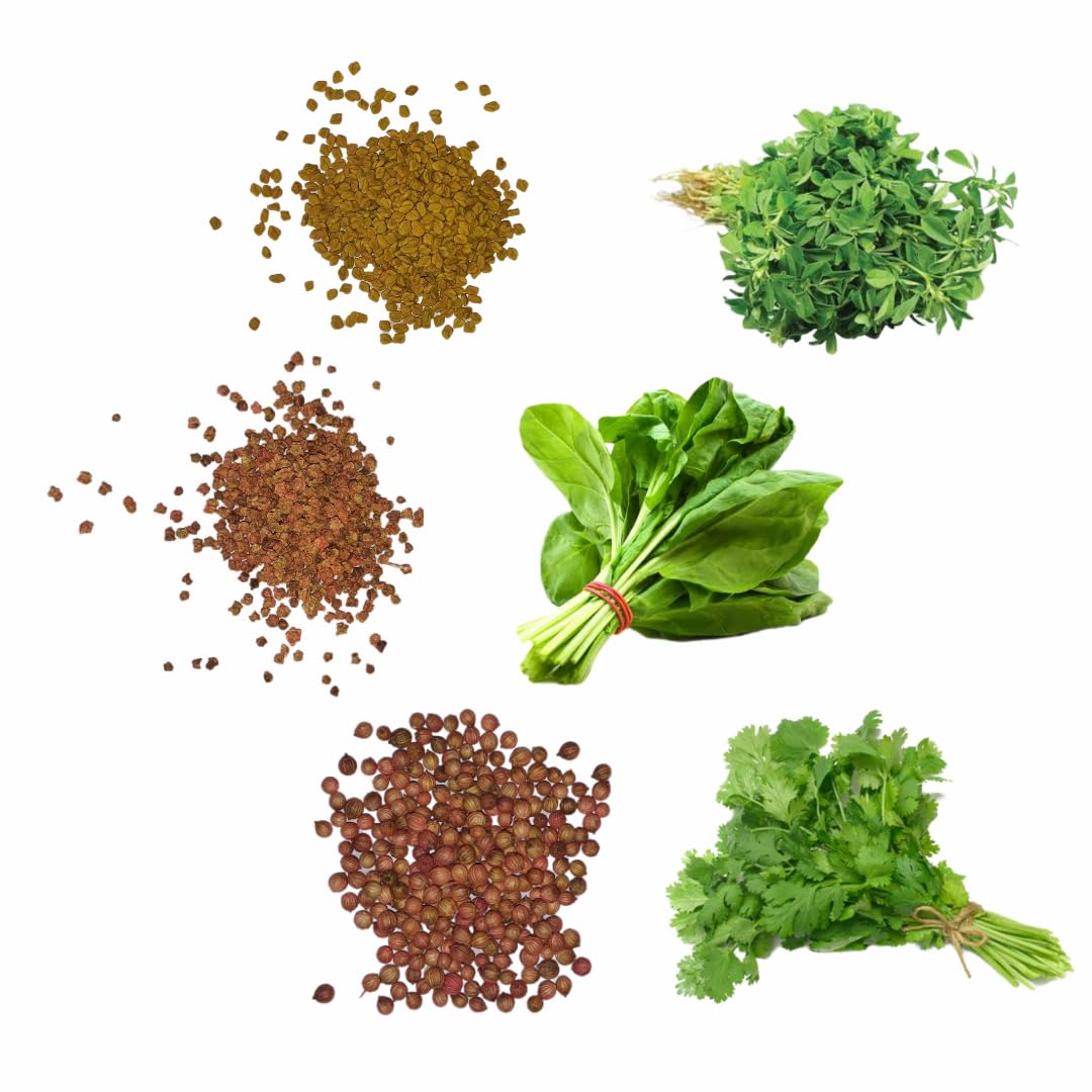 LEAFY VEGETABLES SEEDS COMBO LARGE - FENUGREEK 100 GM, SPINACH 50 GM, CORIANDER 30 GM (B0D29G92G1) Amazon Price History, Amazon Price Tracker