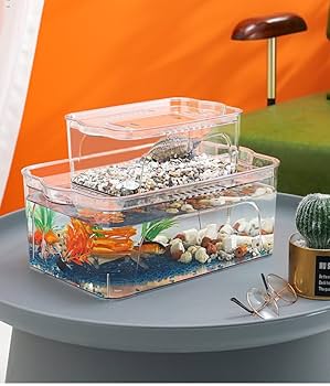 Amazon | 大型水槽、蓋付き透明家庭用水槽、蓋付き水族館