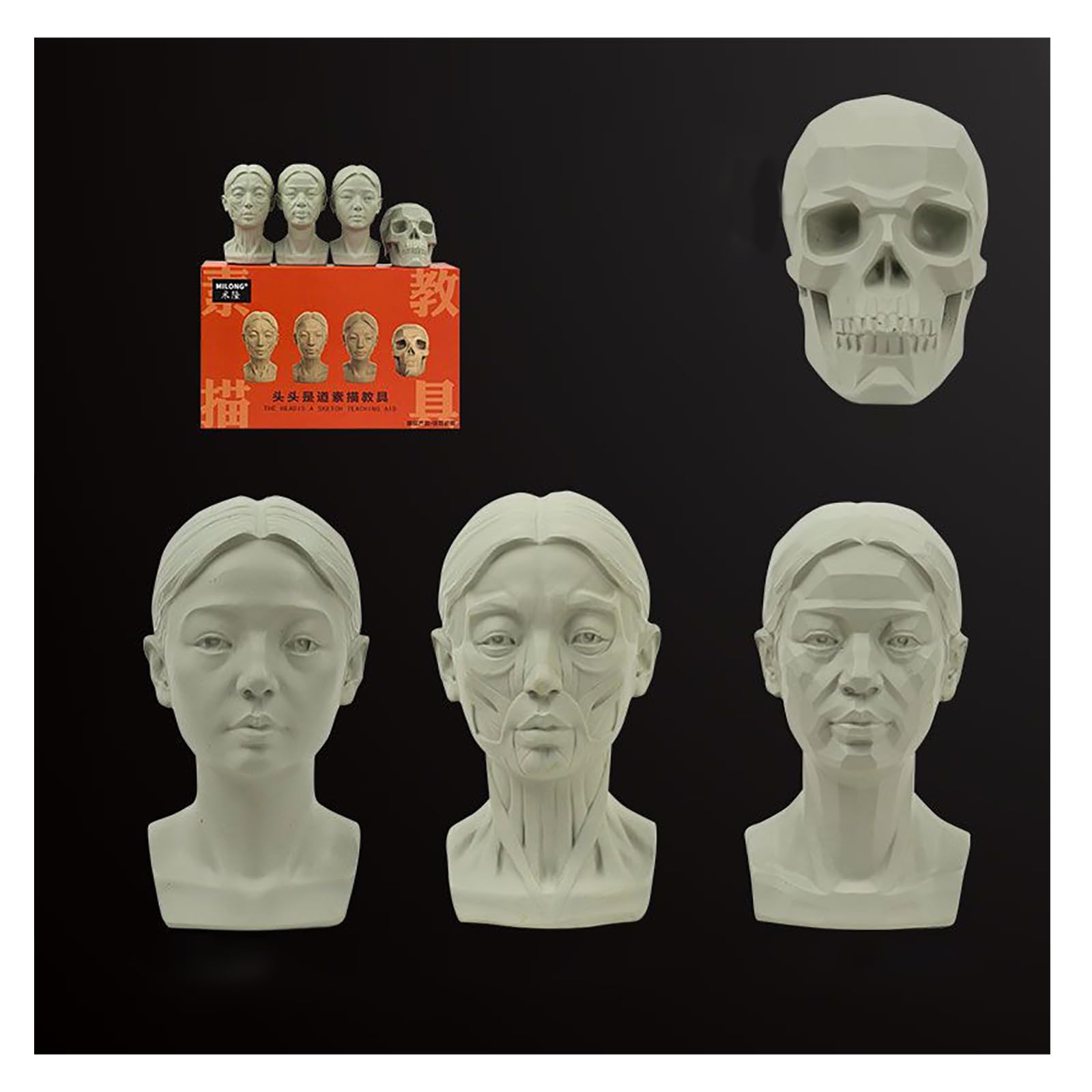 Fxnfxla 4Pack Standard Planar Head, Generic Artists Head Models Mannequin Set, Manikin Head For Medical And Artistic Drawing Sketching Painting