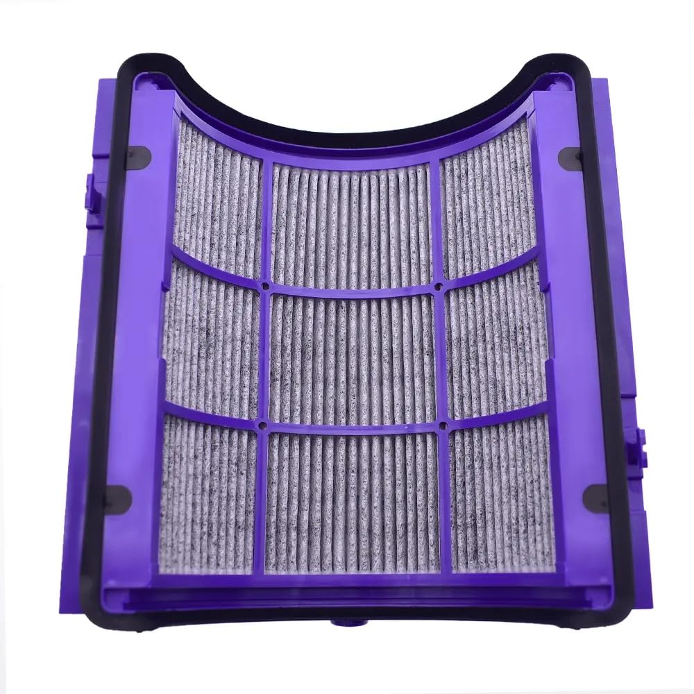 cann Filtro HEPA e carbone attivo 970341-01 per depuratore d'aria Dyson (TP06, HP06) e deumidificatore (PH01, PH02)