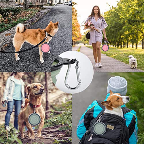 2 Stück Faltbare Reisenäpfe,Haustier Hundenapf mit Deckel und Haken Tragbare Silikon Trinkschale für Katzen,Hunde Reise Wanderungen and Camping (Blau und Rosa, klein)