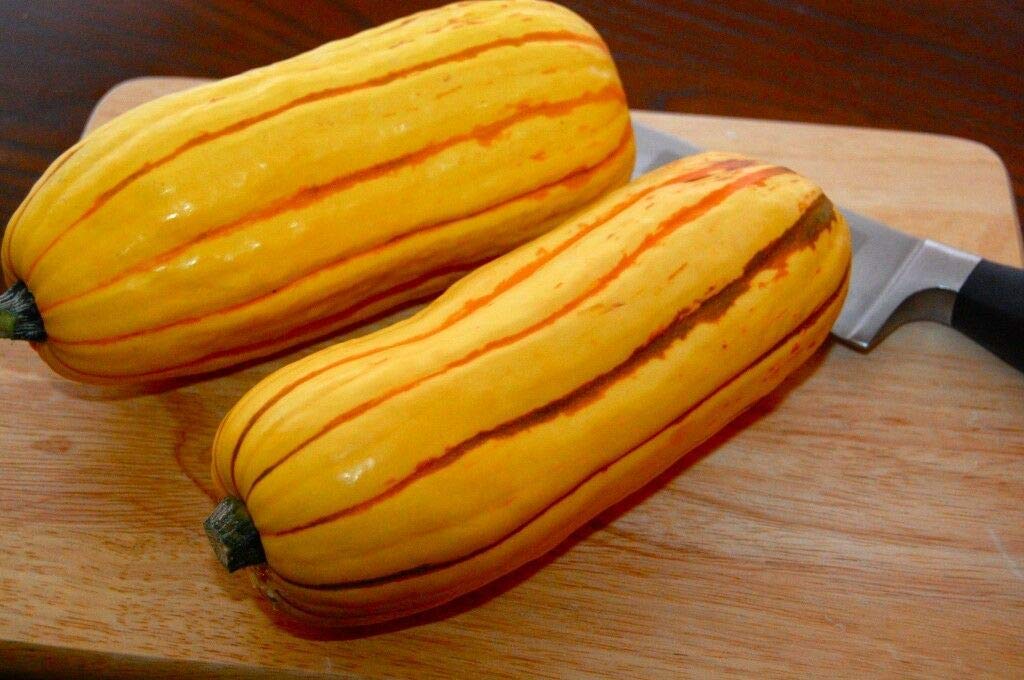 Vegetable Delicata Squash 30 Finest Seeds