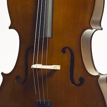 Amazon.com: Stentor 1108 Cello, 3/4 Size : Musical Instruments
