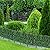 OUSHENG Decorative Garden Fence Fencing 10 Pack, 24in (H) x 10ft (L) Rustproof Metal Wire Panel Border Animal Barrier for Yard Dog Rabbits, Flower Bed Edging for Landscape Patio Outdoor Decor