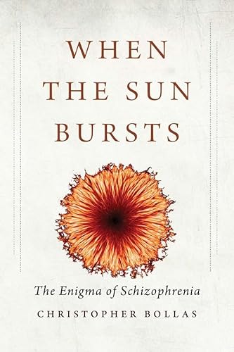 When the Sun Bursts: The Enigma of Schizophrenia
