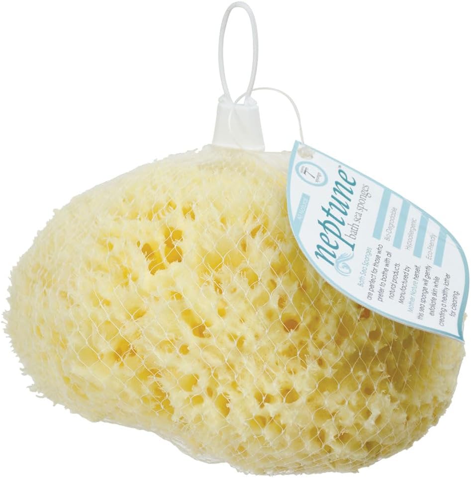 Sea Wool Sponge - All Natural Honeycomb Renewable Sea Sponge, Hand Cut, Jumbo, Approx. 7 Inches (Pack of 2)