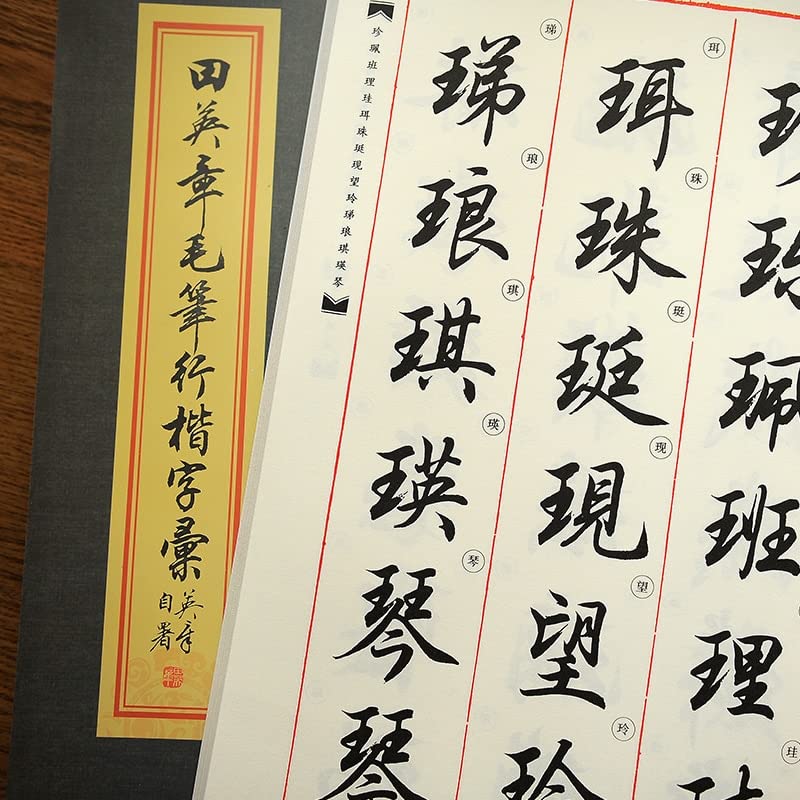Cuaderno Mágico de Prácticas de Caligrafía, Chinese Brush Copybook Chinese Calligraphy Copybook Running Script Chinese Character Practice Copy Book(C)