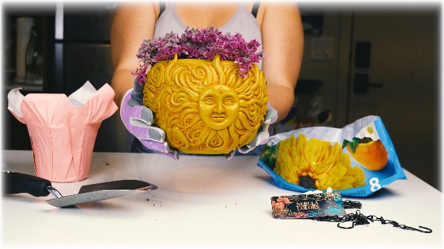 Amazon.com: Nebula Colors Fun & Unique Sun Face Hanging Planter