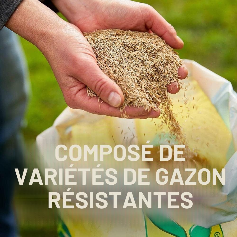 Compo Jeu et sport - Mélange universel de gazon - 5 kg - 250 m²