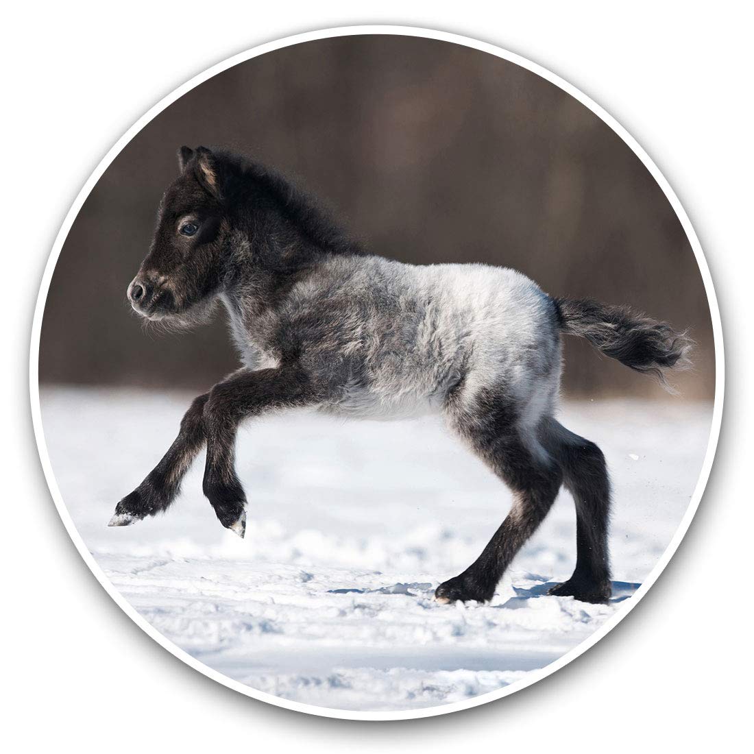 Destination Vinyl Ltd Cute Foal Horse Pony Snow 2130 2 X 30Cmvinyl Stickers - Cute Foal Horse Pony Snow Decals For Car Van Luggage Scrap Book Fridge #2130
